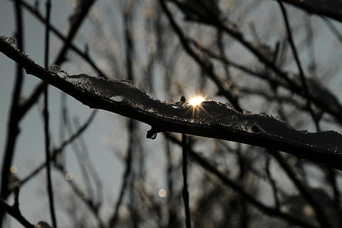posta de sol, arbre màgic, gel, refracció, cristall, posta de sol petita, branca, cap gent, centrar-se en primer pla, planta, naturalesa, arbre, primer pla, llum solar, arbre nu, bellesa a la natura, a l'aire lliure, dia, temperatura de fred, hivern, vista d’angle baix, sol, tranquil·litat, enfocament selectiu, 5K, CC0, domini públic, lliure de regalies