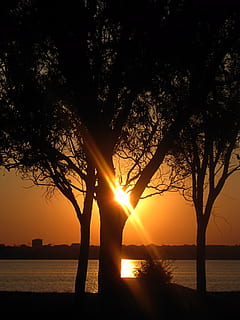 solnedgang, træ, radius, blitz, orange, parkere, sø, udsigt, stjerne, silhuet, himmel, vand, sol, scenics - natur, natur, sollys, skønhed i naturen, solstråle, plante, orange farve, ro, rolig scene, idyllisk, linseflare, udendørs, 2K, CC0, offentligt domæne, royaltyfrie