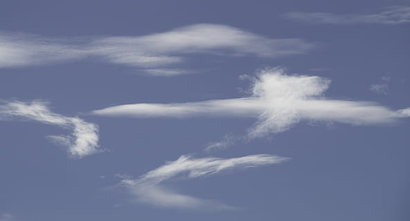 skyer, hvid, blå, fluffy, delikat, mønster, himmel, sky - himmel, skønhed i naturen, natur, lav vinkel visning, ingen mennesker, scenics - natur, baggrunde, udendørs, dag, cloudscape, ro, hvid farve, idyllisk, vind, miljø, blødhed, tjavsede, meteorologi, 2K, CC0, offentligt domæne, royaltyfrie