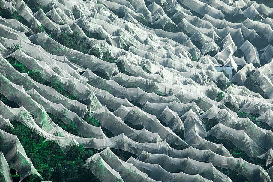 grama verde, ao ar livre, natureza, montanha, gelo, neve, geleira, cenário, panorâmica, panorama, inverno, icebergue, vista aérea, caverna, enfeite, fractal, padronizar, agua, mar, oceano, platô, quadro completo, origens, ninguém, animal, abundância, dia, visão de alto ângulo, fechar-se, padrão natural, temas animais, animais selvagens, beleza na natureza, em uma sequência, embaixo da agua, texturizado, marinho, 5K