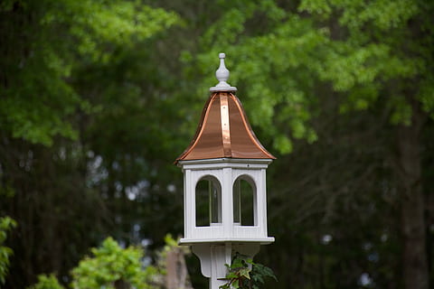 fugl, feeder, baggård, plante, træ, bygget struktur, arkitektur, religion, natur, bygning udvendig, vækst, tro, dag, ingen mennesker, sted for tilbedelse, bygning, spiritualitet, fokus på forgrunden, udendørs, grøn farve, Spir, 5K, CC0, offentligt domæne, royaltyfrie