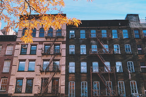 architecture, building, infrastructure, leaf, fall, tree, autumn, facade, blue, building exterior, built structure, low angle view, window, no people, change, day, nature, plant, sky, outdoors, city, residential district, glass - material, cloud - sky, sunlight, apartment, 5K, CC0, public domain, royalty free
