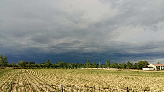 nube, tormenta, nubes de tormenta, clima, oscuro, paisaje de nubes, paisaje, temporada, campo, horizonte, tierra, peligro, prado, naturaleza, cielo, lluvia, negro, verano, luz del sol, nube - cielo, agricultura, ambiente, paisajes - naturaleza, planta, granja, escena rural, belleza en la naturaleza, escena tranquila, tranquilidad, día, árbol, crecimiento, nadie, al aire libre, 4K, CC0, dominio público, libre de derechos