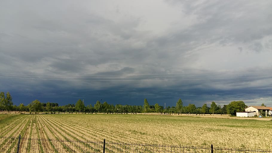 nube, tormenta, nubes de tormenta, clima, oscuro, paisaje de nubes, paisaje, temporada, campo, horizonte, tierra, peligro, prado, naturaleza, cielo, lluvia, negro, verano, luz del sol, nube - cielo, agricultura, ambiente, paisajes - naturaleza, planta, granja, escena rural, belleza en la naturaleza, escena tranquila, tranquilidad, día, árbol, crecimiento, nadie, al aire libre, 4K