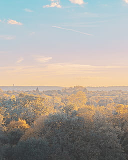 skov om dagen, udendørs, landskab, træ, plante, Spir, arkitektur, tårn, vejr, vegetation, panoramisk, jord, gran, abies, farver, Skov, by-, by, neutral, skønhed i naturen, rolig scene, ro, scenics - natur, himmel, natur, sky - himmel, miljø, ingen mennesker, ikke-urbane scene, vækst, dag, idyllisk, fjern, bjerg, tørt klima, 4K, CC0, offentligt domæne, royaltyfrie
