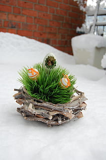 Ostern, Schnee, Winter, Osterei, Osternest, Feier, Dekoration, keine Leute, Weihnachten, Natur, Urlaub, grüne Farbe, Backstein, Pflanze, kalte Temperatur, Weihnachtsdekoration, Nahansicht, Ziegelwand, Wand, Fokus auf den Vordergrund, Lebensmittel, Weihnachtsverzierung, 2K, CC0, gemeinfrei, lizenzfrei