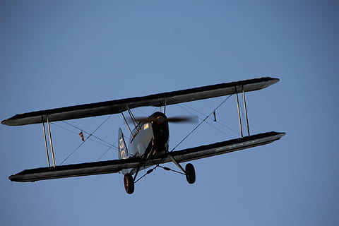 Dobbeltdækker, fly, propellplan, oldtimer, skyfri himmel, himmel, lav vinkel visning, blå, natur, kopiere plads, dag, dyre temaer, dyr, et dyr, transportform, udendørs, transportmidler, dyreliv, dyr i naturen, ingen mennesker, flyvende, fugl, luftfartøj, hvirveldyr, 5K, CC0, offentligt domæne, royaltyfrie