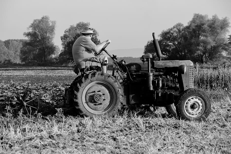 camp, tractor, conductor del tractor, terra, planta, persones reals, maquinària agrícola, una persona, dia, vehicle terrestre, equipament agrícola, naturalesa, agricultura, manera de transport, paisatge, escena rural, herba, transport, roba casual, estils de vida, a l'aire lliure, 5K