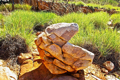 rock, estructura, naturaleza, material, piedra, sólido, roca, planta, hierba, roca - objeto, día, tierra, campo, nadie, crecimiento, tranquilidad, de cerca, al aire libre, luz del sol, belleza en la naturaleza, apilar, color verde, centrarse en primer plano, piedra - objeto, 2K, CC0, dominio público, libre de derechos