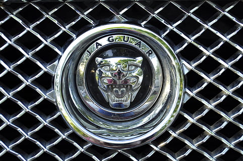 bil, Karakter, jaguar, sølv, logo, struktur, metal, tæt på, ingen mennesker, direkte over, afspejling, geometrisk form, dag, indendørs, mønster, glas - materiale, form, sikkerhed, cirkel, høj vinkel visning, skinnende, fuld ramme, glas, beskyttelse, sølvfarvet, krom, 2K, CC0, offentligt domæne, royaltyfrie