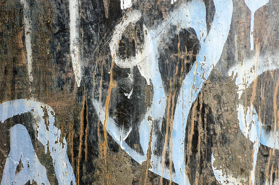 pintura, grafitti, textura, patró, resum, esprai, grunge, disseny, paret, artístic, graffiti, urbà, grungy, brut, modern, colorit, carrer, color, fons de grafits, vandalisme, blanc, pintat, creatiu, ferro, paret pintada, pintura d'esprai, dibuix, ciutat, creativitat, símbol, estil, fons, marc complet, cap gent, primer pla, tronc de l'arbre, dia, tronc, vell, art i artesania, arbre, resistent, a l'aire lliure, material de fusta, espatllat, talla - producte artesanal, funció de construcció de parets, aspre, efecte texturat, 4K