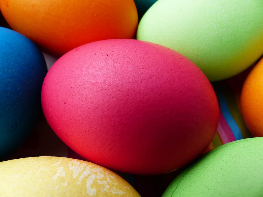 ou, colorit, ous de Pasqua, Pasqua, pintura, color, de colors, alegre, amable, bonic, primavera, menjar, deliciós, hartgekocht, cuit, dur, blau, vermell, taronja, groc, verd, oval, forma d'ou, menjar i beguda, celebració, ou de Pasqua, multicolor, frescor, cap gent, primer pla, a l'interior, alimentació saludable, festa, natura morta, variació, elecció, benestar, grup d'objectes, tir de l'estudi, temptació, 4K