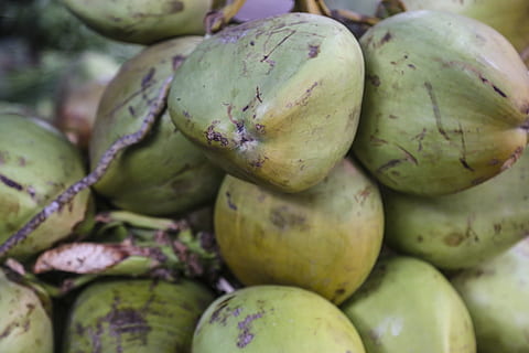 nuci de cocos, buchet, fruct, vară, plajă, mancare si bautura, mâncat sănătos, alimente, prospeţime, bunăstare, grup mare de obiecte, piaţă, Culoarea verde, cu amănuntul, abundenţă, de vânzare, nici o persoana, cadru complet, a închide, natură moartă, fundaluri, zi, stand de piață, morman, copt, piata fermierilor, vânzare, afișare cu amănuntul, 5K, CC0, domeniu public, fără drepturi de autor