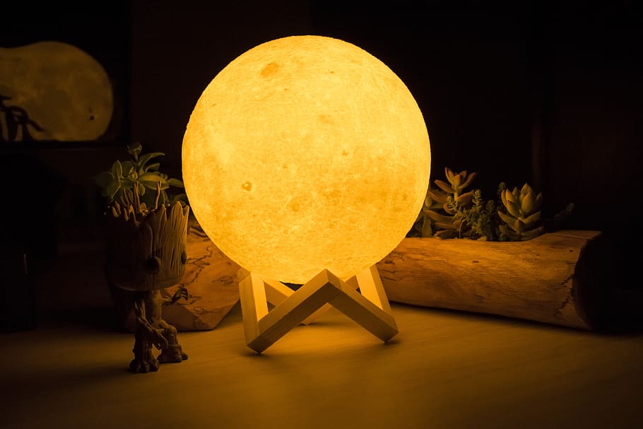 lluna, naturalesa, groot, arbres, nit, menjar i beguda, a l'interior, menjar, groc, fruita, cap gent, il·luminat, frescor, celebració, alimentació saludable, planta, taula, Halloween, esfera, equips d’il·luminació, carbassa, creativitat, ornamentat, 5K