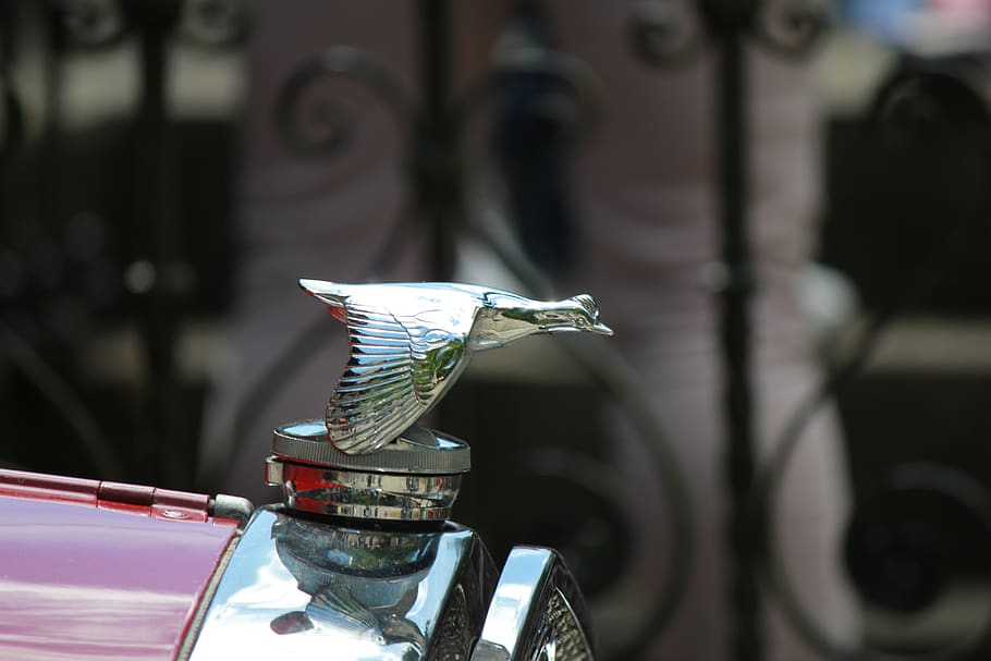 riflessione, auto, luce, design, stile, mezzi di trasporto, concentrarsi sulle conoscenze acquisite, modo di trasporto, veicolo terrestre, un animale, stazionario, bicicletta, nessuno, temi animali, uccello, animale, vertebrato, metallo, giorno, avvicinamento, fauna selvatica, veicolo a motore, in stile retrò, 5K
