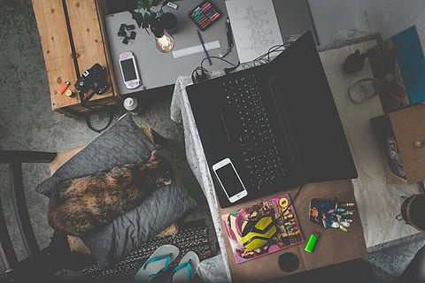 sort bærbar computer, møbel, computer, elektronik, pc, bærbar, bord, Skærm, overvåge, lcd-skærm, dyr, kæledyr, kat, pattedyr, indretning, indendørs, hunde, hund, sofa, skrivebord, høj vinkel visning, ingen mennesker, teknologi, stor gruppe af objekter, indenlandske, husdyr, rodet, dyre temaer, Kunst og håndværk, hvirveldyr, hjem interiør, 5K, CC0, offentligt domæne, royaltyfrie