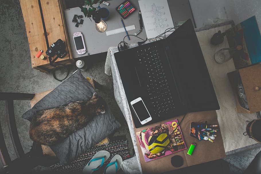 sort bærbar computer, møbel, computer, elektronik, pc, bærbar, bord, Skærm, overvåge, lcd-skærm, dyr, kæledyr, kat, pattedyr, indretning, indendørs, hunde, hund, sofa, skrivebord, høj vinkel visning, ingen mennesker, teknologi, stor gruppe af objekter, indenlandske, husdyr, rodet, dyre temaer, Kunst og håndværk, hvirveldyr, hjem interiør, 5K
