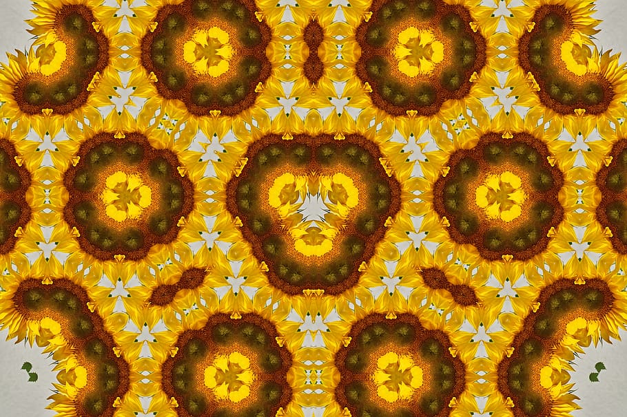 ornament, patró, art, textura, fons, forma, flor, floral, fons de pantalla, artísticament, calidoscopi, groc, marc complet, primer pla, cap gent, menjar i beguda, arranjament, menjar, a l'interior, planta amb flors, en fila, frescor, repetició, fruita, disseny, compost digital, ordre, 5K