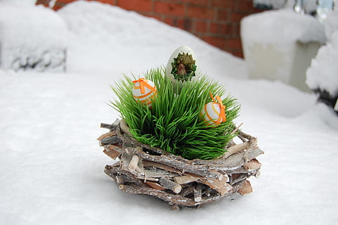 Ostern, Schnee, Winter, Osterei, Osternest, kalte Temperatur, Pflanze, grüne Farbe, Natur, Feier, keine Leute, Fokus auf den Vordergrund, Dekoration, Weihnachten, weiße Farbe, Religion, Tag, Darstellung, Urlaub, draußen, 2K, CC0, gemeinfrei, lizenzfrei