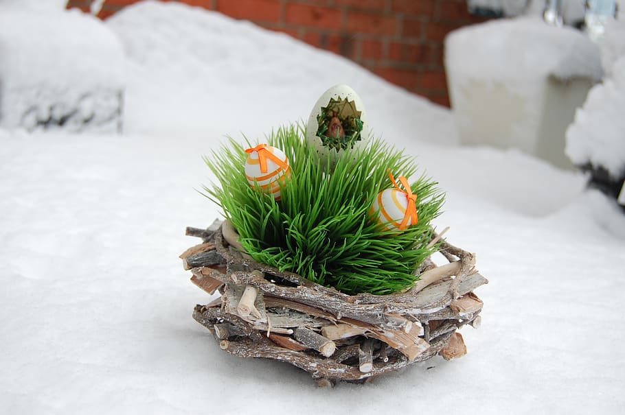 Ostern, Schnee, Winter, Osterei, Osternest, kalte Temperatur, Pflanze, grüne Farbe, Natur, Feier, keine Leute, Fokus auf den Vordergrund, Dekoration, Weihnachten, weiße Farbe, Religion, Tag, Darstellung, Urlaub, draußen, 2K