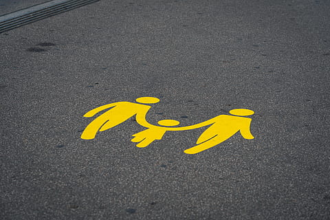 Asphalt, Tier, Vogel, Straße, Symbol, Vielfalt, Zürich, Zürich Stolz, lgbt +, lgbt, Zeichen, städtisch, Stadt, Stadt, Dorf, Gebäude, Zebrastreifen, Gelb, Transport, Darstellung, keine Leute, High Angle View, menschliche Darstellung, Kommunikation, Tag, Behinderte Zeichen, draußen, Zugang für Behinderte, Natur, Kreativität, Beratung, 8K, CC0, gemeinfrei, lizenzfrei