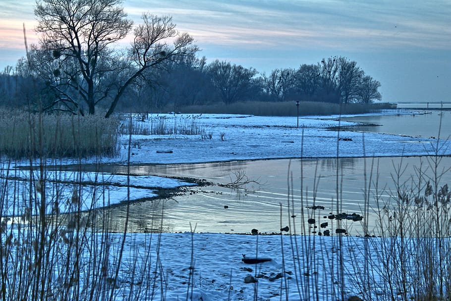 llac de constància, bregenz, hivern, port, naturalesa freda, tarda, Austràlia, mirall, romàntic, bonic, aigua, neu, lluny, gel, congelat, fred, arbres, planta, arbre, tranquil·litat, temperatura de fred, escena tranquil·la, arbre nu, escenics - natura, cap gent, bellesa a la natura, cel, naturalesa, llac, reflexió, núvol - cel, a l'aire lliure, 5K