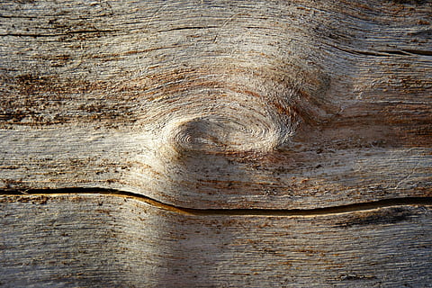 fusta, nus, registre, gra, anells, fusta morta, Perfil, naturalesa, estructura, patró, textura, textura de fusta, material de fusta, cap gent, marc complet, fons, primer pla, a l'aire lliure, arbre, dia, tronc de l'arbre, vista d’angle alt, marró, gra de fusta, aspre, tronc, directament a sobre, vell, escorça, 4K, CC0, domini públic, lliure de regalies