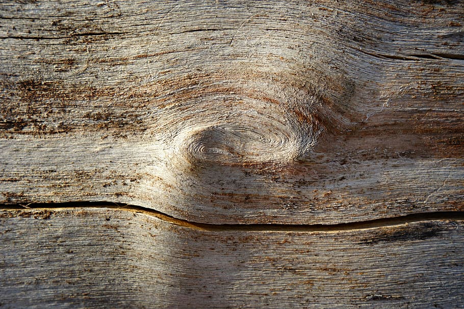 fusta, nus, registre, gra, anells, fusta morta, Perfil, naturalesa, estructura, patró, textura, textura de fusta, material de fusta, cap gent, marc complet, fons, primer pla, a l'aire lliure, arbre, dia, tronc de l'arbre, vista d’angle alt, marró, gra de fusta, aspre, tronc, directament a sobre, vell, escorça, 4K