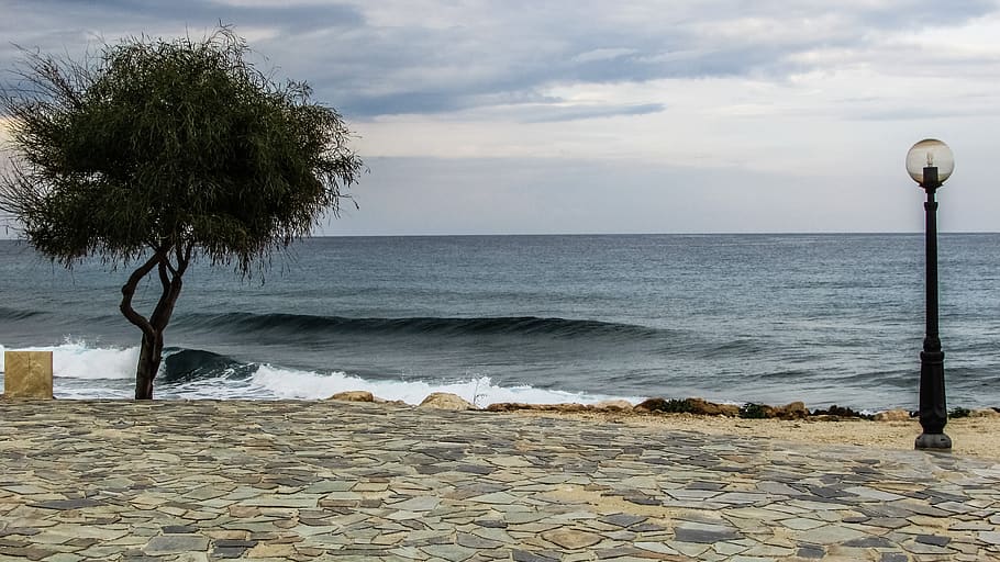Xipre, protaras, arbre, onades, romàntic, aigua, mar, cel, escenics - natura, bellesa a la natura, horitzó, núvol - cel, platja, horitzó sobre l’aigua, naturalesa, tranquil·litat, escena tranquil·la, terra, planta, dia, equips d’il·luminació, cap gent, llum del carrer, a l'aire lliure, passeig marítim, 4K