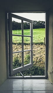 vindu, landskap, konstruksjon, arkitektur, lys, perspektiv, himmellys, rom, rommet innvendig, glass, belysning, hage, anlegg, dag, glass - materiale, ingen folk, natur, innendørs, tre, gjennomsiktig, gress, grønn farge, felt, land, vekst, bygget struktur, himmel, miljø, vinduskarm, 4K, CC0, offentlig domene, opphavsrett gratis