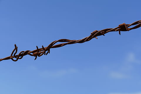 barbed wire, rust, sharp, point, caught, obstacle, wire, protection, safety, fence, metal, sky, security, blue, boundary, connection, barrier, communication, twisted, copy space, strength, sign, low angle view, close-up, rope, no people, exclusion, 5K, CC0, public domain, royalty free