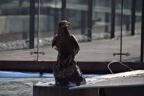 udskæring, sten udskæring, model, stolthed, skarp, ørn, skulptur, moderne, kunst, fokus på forgrunden, dyr, dag, fugl, dyre temaer, ingen mennesker, Kunst og håndværk, dyreliv, repræsentation, hvirveldyr, et dyr, dyr i naturen, statue, kreativitet, natur, udendørs, arkitektur, perching, tæt på, 5K, CC0, offentligt domæne, royaltyfrie