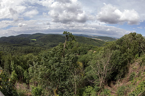thuringia almanya, thuringian ormanı, panorama, bitki, ağaç, bulut - gökyüzü, doğada güzellik, manzaralar - doğa, gökyüzü, sakin sahne, büyüme, huzur, çevre, peyzaj, yeşil renk, kentsel olmayan sahne, gün, doğa, dağ, insansız, orman, pastoral, arazi, açık havada, yuvarlanan manzara, 5K, CC0, kamu malı, telif ücretsiz