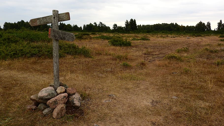 vejviser, pointer, sti, turisme, treking, landskab, tørt græs, Øland, sverige, græs, plante, kryds, ingen mennesker, natur, himmel, Mark, tro, jord, religion, solid, dag, træ, ro, spiritualitet, miljø, ikke-urbane scene, sky - himmel, rolig scene, 4K