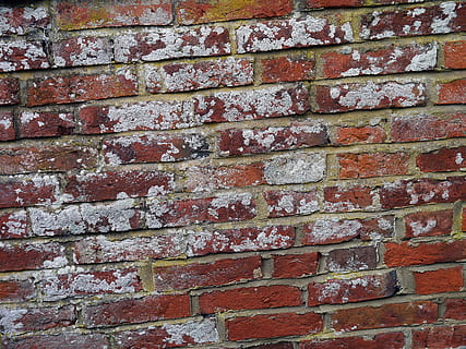 pared de ladrillo, ladrillos, pared, pintar, Envejecido, erosionado, vendimia, pintado, rojo, ladrillo, antecedentes, pared - característica de la construcción, fotograma completo, estructura construida, arquitectura, texturizado, modelo, nadie, día, de cerca, al aire libre, exterior del edificio, áspero, marrón, antiguo, 2K, CC0, dominio público, libre de derechos