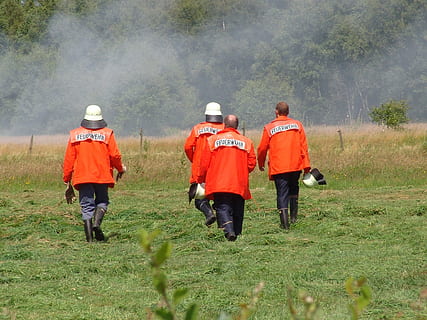 ild, brandbekæmpelse angreb, brandslukning, slette, bagfra, plante, gå, fuld længde, natur, gruppe af mennesker, rigtige mennesker, jord, græs, mennesker, Mark, dag, herrer, livsstil, tøj, grøn farve, træ, miljø, eventyr, udendørs, 1080P, CC0, offentligt domæne, royaltyfrie
