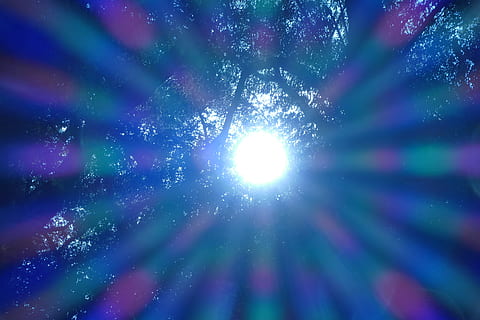 Soleil, des rayons, la nature, forêt, lumière, arbre, ciel, faible angle de vue, personne, reflet, beauté dans la nature, lumière - phénomène naturel, rayon de soleil, illuminé, lumière du soleil, plante, bleu, croissance, brillant, arrière-plans, plein cadre, en plein air, violet, directement en dessous, 5K, CC0, domaine public, libre de droits