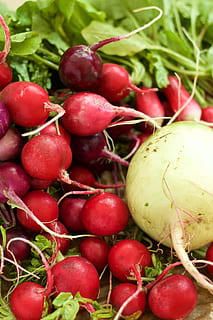 rave, vermell, vegetals, menjar i beguda, alimentació saludable, menjar, benestar, frescor, fruita, gran grup d'objectes, cap gent, arrel vegetal, primer pla, natura morta, dia, marc complet, mercat, a la venda, tomàquet, abundància, madur, remolatxa comuna, 5K, CC0, domini públic, lliure de regalies