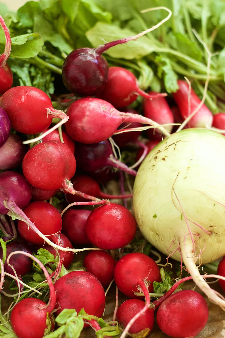 rave, vermell, vegetals, menjar i beguda, alimentació saludable, menjar, benestar, frescor, fruita, gran grup d'objectes, cap gent, arrel vegetal, primer pla, natura morta, dia, marc complet, mercat, a la venda, tomàquet, abundància, madur, remolatxa comuna, 5K