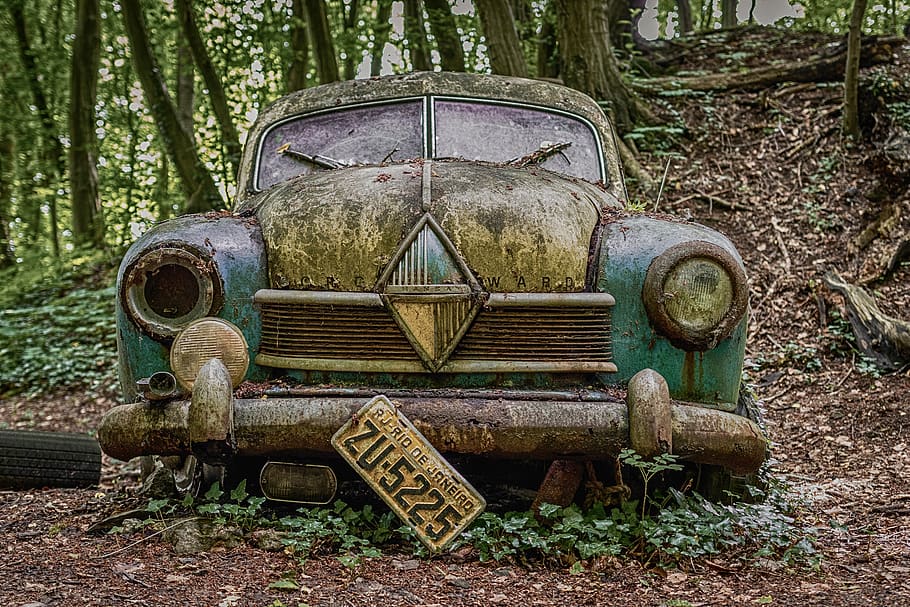 oldtimer, llocs perduts, vell, decaïment, automàtic, òxid, escultures de cotxes, podridura, cementiri del cotxe, ferralla, rovellat, metall, terra, abandonat, aixafar, obsoleta, deteriorament, bosc, arbre, espatllat, declivi, dia, manera de transport, planta, cap gent, camp, transport, mal estat, resistent, a l'aire lliure, arruïnat, 5K