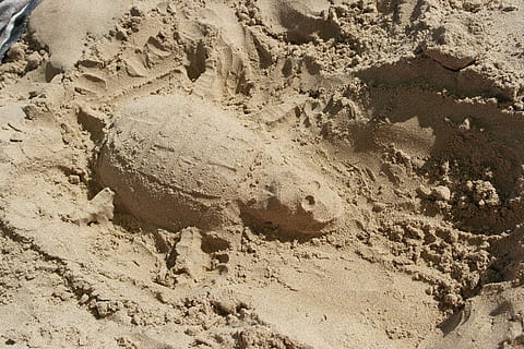 tartaruga, dado forma, areia, Dom, terra, visão de alto ângulo, ninguém, de praia, natureza, Castelo de Areia, dia, luz solar, ao ar livre, Castanho, sujeira, fechar-se, tranquilidade, impressão, padronizar, lama, deserto, arte e Artesanato, quadro completo, clima árido, corroído, 5K, CC0, domínio público, royalty free