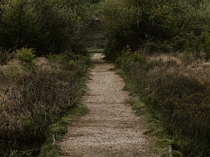 vuoto, strada, erba, strada sterrata, ghiaia, terra, all'aperto, campo, sentiero, prateria, natura, tumulo, asfalto, campagna, moda, capi di abbigliamento, abbigliamento, accappatoio, abito da sera, toga, costruzione, pianta, direzione, crescita, albero, la strada davanti, nessuno, la tranquillità, giorno, bellezza nella natura, scena tranquilla, colore verde, scena non urbana, scenics - natura, paesaggio, fogliame, pista, 8K, CC0, dominio pubblico, privo di copyright