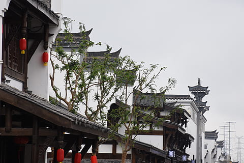 tree, eaves, ancient architecture, architecture, built structure, building exterior, building, sky, low angle view, nature, day, no people, clear sky, outdoors, plant, lighting equipment, city, belief, religion, travel destinations, street, spirituality, 4K, CC0, public domain, royalty free