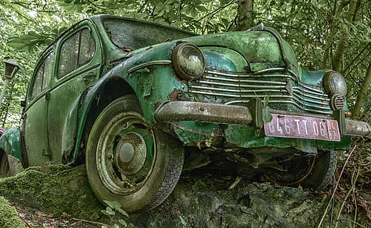 oldtimer, prarastas vietas, senas, puvimas, automatinis, rūdys, automobilių skulptūros, rota, automobilių kapinės, laužas, atsisakyta, pasenusi, transporto būdas, sugadintas, transportavimas, nusileidęs, nerūdijantis, pablogėjimas, mažėja, medis, dieną, žemės, sausumos transporto priemonė, nėra žmonių, augalų, metalo, retro stiliaus, žalia spalva, lauke, sugriauta, ratas, padanga, 5K, CC0, Viešasis domenas, nemokamai