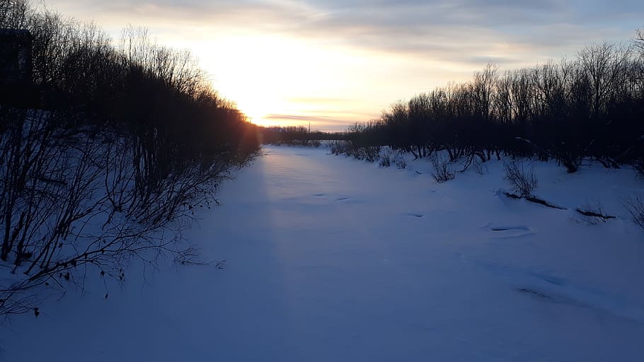 râu, apus de soare, ierni, cer, copac, plantă, iarnă, temperatura rece, liniște, o scenă liniștită, frumusețe în natură, scenice - natura, zăpadă, nici o persoana, natură, apă, nor - cer, arbore gol, scenă non-urbană, siluetă, în aer liber, 4K
