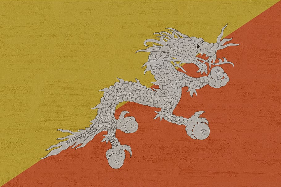 Bhutan, bandera, funció de construcció de parets, representació animal, representació, art i artesania, creativitat, groc, cap gent, animal, temes d'animals, estructura construïda, arquitectura, rèptil, artesania, primer pla, dia, color taronja, llangardaix, a l'interior, paret, dibuix, mural, 1080P