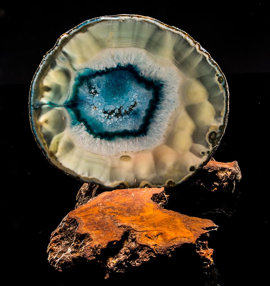fetta d'agata, blu, avvicinamento, nessuno, sfondo nero, in casa, girato in studio, animale, natura, acqua, solido, animali allo stato selvatico, temi animali, fauna selvatica, roccia, mare, marino, vita marina, Medusa, roccia - oggetto, invertebrato, gemma preziosa, 2K