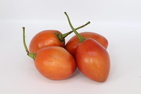 tomatoes, tropical, vegetable, food and drink, food, healthy eating, wellbeing, freshness, fruit, still life, tomato, white background, studio shot, close-up, indoors, group of objects, red, no people, cut out, three objects, orange color, raw food, ripe, 5K, CC0, public domain, royalty free