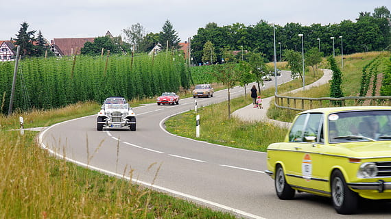 Oldtimer, Hopfen, BMW, Transport, Transportmittel, Pflanze, Baum, Kraftfahrzeug, Landfahrzeug, Auto, Straße, Natur, Tag, grüne Farbe, Umgebung, Gras, keine Leute, Wachstum, draußen, Nutzfahrzeug, Reise, Stadt, 4K, CC0, gemeinfrei, lizenzfrei