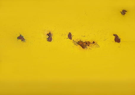 Hintergrund, Rost, Gelb, strukturierten Hintergrund, keine Leute, Tier, Tierthemen, Gruppe von Tieren, Natur, Vollbild, Hintergründe, kopieren sie platz, Nahansicht, High Angle View, Schönheit in der Natur, Tierwelt, Tierkörperteil, in einer Reihe, draußen, Tag, Land, texturiert, gelber Hintergrund, 1080P, CC0, gemeinfrei, lizenzfrei